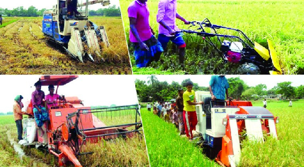 সাত বছরের মধ্যে শস্য রোপণ, কর্তন ও সংরক্ষণে ৪০ শতাংশ যন্ত্র ব্যবহারের লক্ষ্যমাত্রা