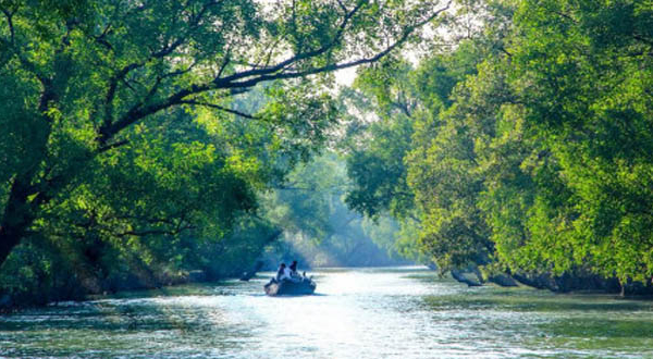 আজ খুলছে সুন্দরবনের প্রবেশদ্বার