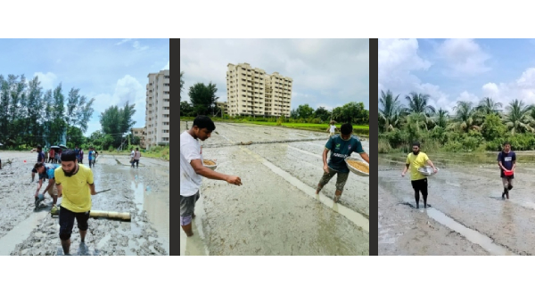 বন্যাকবলিত কৃষকদের সাহায্যার্থে নোবিপ্রবিতে ৪৫০ কেজি ধানের বীজ বপন