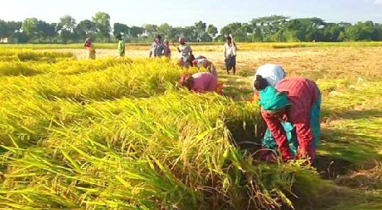 কৃষি ও পল্লী ঋণের লক্ষ্যমাত্রা ৩৮ হাজার কোটি টাকা নির্ধারণ : গভর্নর