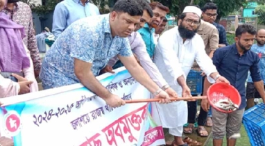 নেত্রকোণা জেলার কেন্দুয়ায় সরকারি জলাশয়ে পোনা মাছ অবমুক্তকরণ