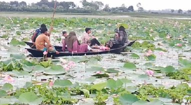 কিশোরগঞ্জ জেলার সিংরইল পদ্মবিলের সৌন্দর্য উপভোগ করতে পর্যটকদের ভিড়