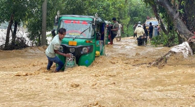 বন্যায় ক্ষতিগ্রস্ত কৃষকদের পাশে অন্তর্বর্তী সরকার