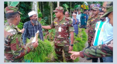 লক্ষ্মীপুরে বন্যায় ক্ষতিগ্রস্ত কৃষকদের ধানের চারা উপহার দিলো সেনাবাহিনী