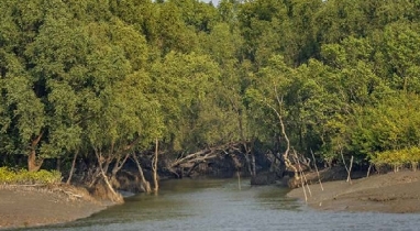 সুন্দরবনের দুয়ার খুলছে আগামীকাল